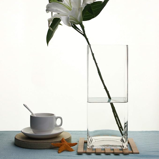 WGV Tall Square Vase Glass Block Bulk, Length 4", Height 12", Clear Bud Floral Container, Candle Holder, Planter Terrarium for Wedding Party Event, Home Office Decor, 12 Pieces