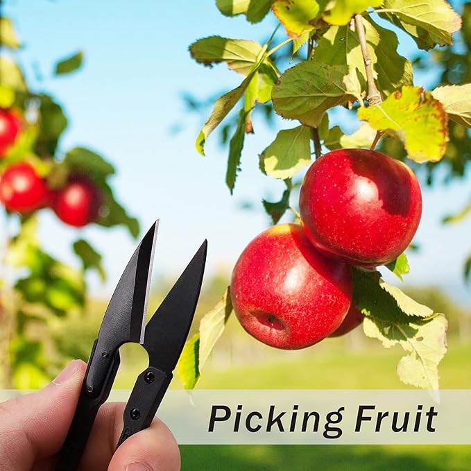 JINJIAN Bonsai Pruning Scissors 6 PCS - Small Pruner Shears Bud Leaves Trimmer Garden Shears for Plants, Gardening Clippers for Flower Bonsai Trimming Pruners