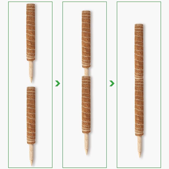 Augshy Moss Pole, 27 Inch Moss Poles - 2Pcs 17 Inch Plant Stakes Moss Sticks for Monstera Indoor Creepers Plant Support Extension Climbing Plants