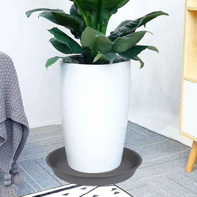 6 Pack of Plant Saucer 10 Inch, 10 inch Plant Saucer Round, Plastic Flower Plant Trays for Pots, Plant Saucers for Indoors 9", Plant Pot Saucers, Planter Tray for Planter 8-10" (10", Gray)