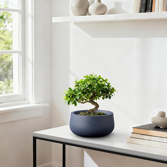 Kante 15.7" Dia Round Concrete Planter, Outdoor Indoor Garden Plant Pots with Drainage Hole and Rubber Plug, Modern Curvaceous Design, Charcoal