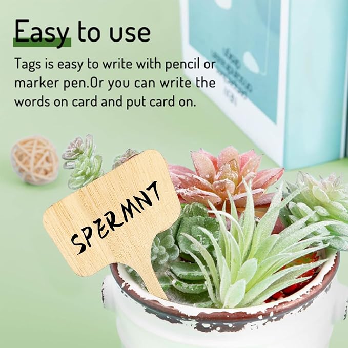 Whaline 60Pcs Wooden Plant Labels with Marker Pen T-Type Wood Plant Sign Tags Decorative Garden Markers for Seed Potted Herbs Flowers Vegetables, 2.36 x 4 Inch