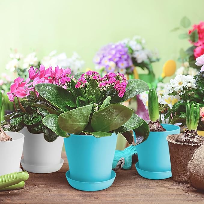 OALCQ 4 Inch Plant Pots - 10 Pcs Blue Flower Pots for Indoor Succulent Plants with Drainage