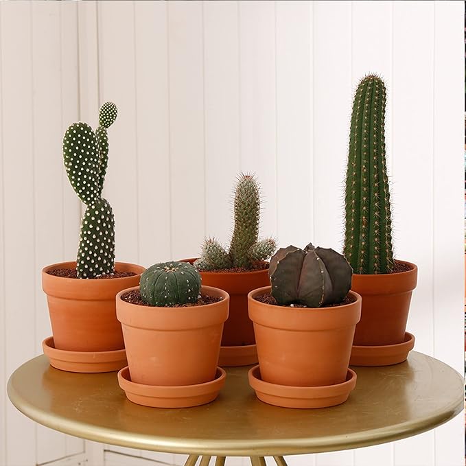 Yishang 7pcs 4.7in Terracotta Pot - Small Round Plant Pot Saucers, Clay Trays, Perfect for 3.5-5in Flower Pots, Drainage Hole, Indoor/Outdoor