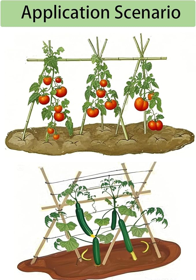 6 Ft Bamboo Stakes with 100 Twist Ties Natural Bamboo Garden Stakes for Tomatoes Cucumber Grapes Pole Beans Trees Potted Dahlia Flowers and Climbing Plants - Pack of 20 Bamboo Sticks