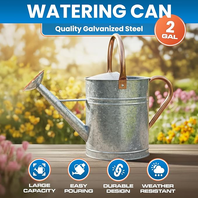 Plexon Large Metal Watering Can Outdoor 2 Gallon, Plant Flower Gardening Garden Watering Can Pot, Bronze Galvanized Steel Handles and Removable Spray Spout, Silver