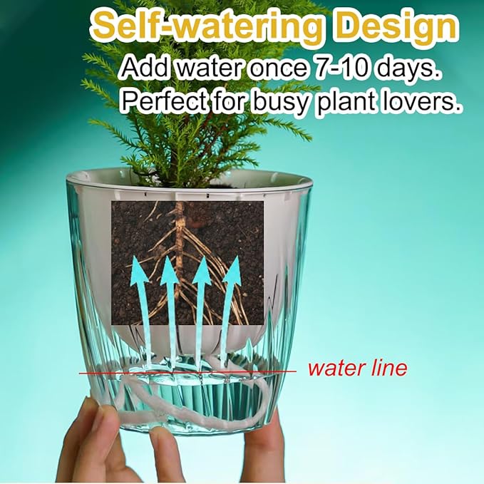 4 Pack 4 Inch Self Watering Pots for Indoor Plants, Self Watering Planter with Reservoir and Wick Rope, Clear Flower Plant Pots for African Violets,Succulents,Herbs,Cactus,Orchids