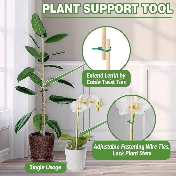 AUGSHY Plant Stakes 18 Inch, 64 PCS Natural Bamboo Garden Stakes for Plants and Plant Support Stakes for Indoor Outdoor Plants Tomato Vegetable Beans Potted Climbing Plants