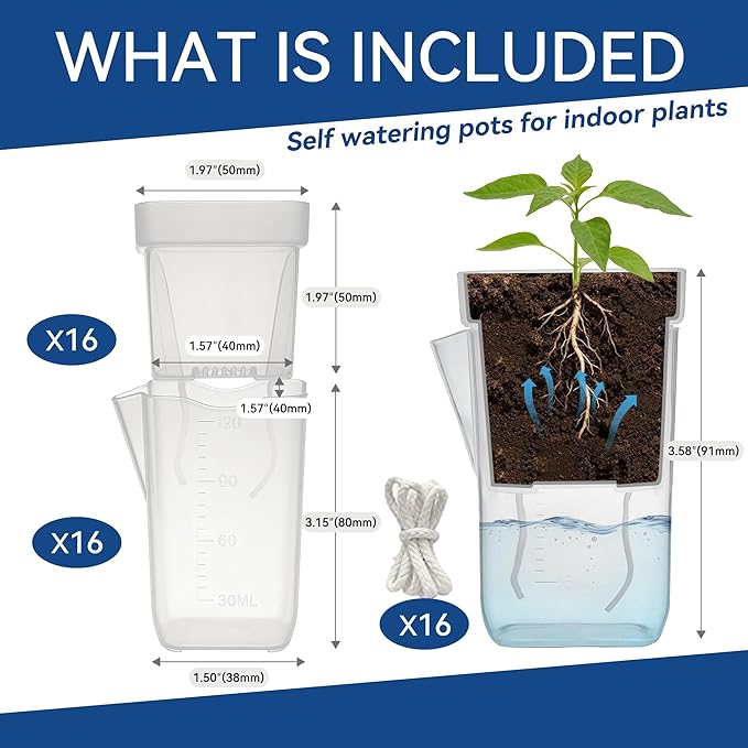 16 Pack 2" Mini Self Watering Pots for Indoor Plants, Small Clear Deep Square Plastic Planters,Self Watering Planters Garden Flower Pots for fluval Stratum,alocasia Live Plant