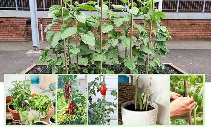 20 Pack 16/18 Inch Natural Bamboo Stakes for Plants, Thick-Wall Garden Stakes with 20 Free Green Ties - Sturdy & Treated Plant Support Sticks for Indoor/Outdoor Potted Tomatoes, Vegetables (18 Inch)
