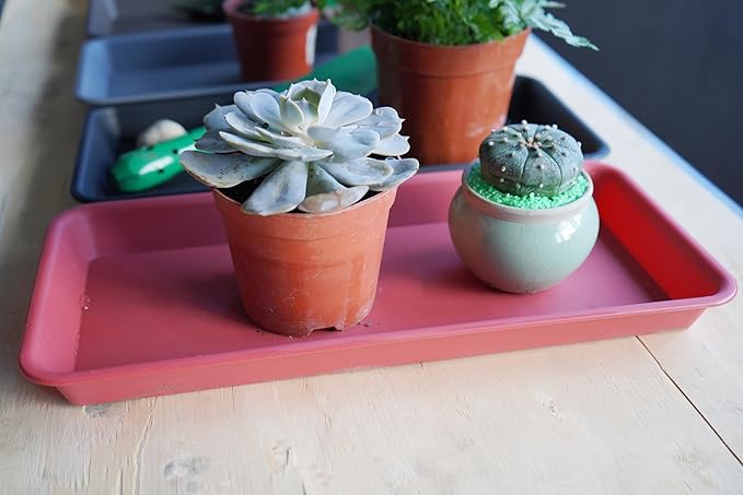 6 Pack Rectangular Plastic Plant Tray Saucer, Terracotta, 6 X 11 Inch, 100lbs Weight Capacity, Indoor/Outdoor, Windowsill Planter Tray