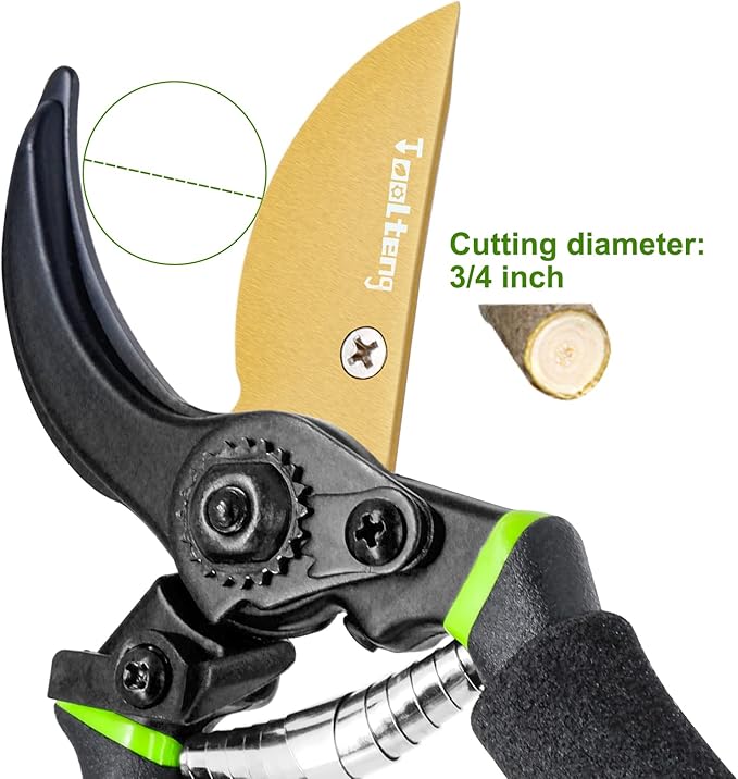 Premium Titanium Bypass Pruning Shears, Heavy Duty Ultra Sharp Garden Scissors, Professional Hand Pruners, Tree Trimmers, Hedge Clippers, Garden Shears and Rose Clippers Tools for Gardening