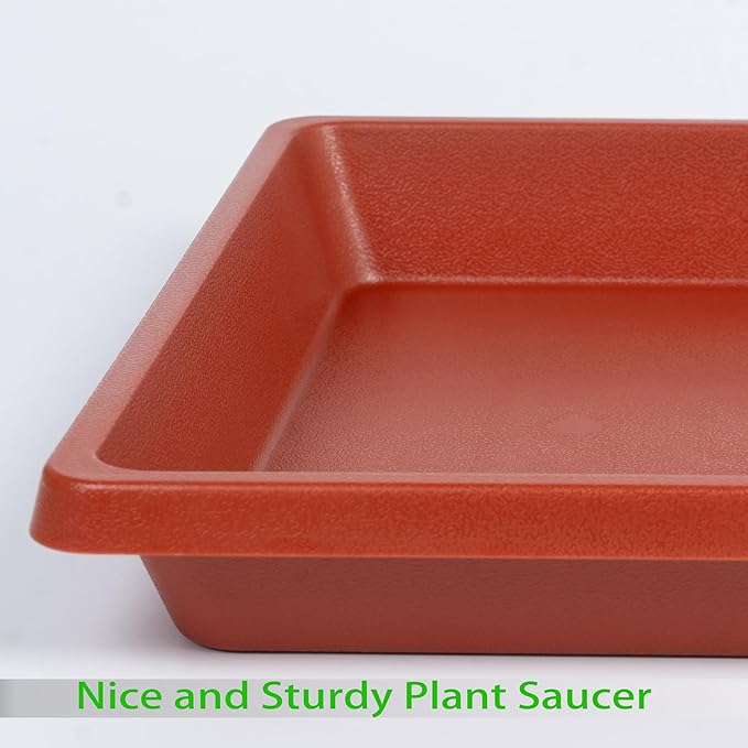 Plant Saucer 12 Inch Square 2 Pack, Plastic Plant Drip Trays, Plant Saucers for Indoors and Outdoors, Flower Pot Saucers, Saucers for Potted Plants, Planter Saucer, Plant Water Catcher Trays for Pots