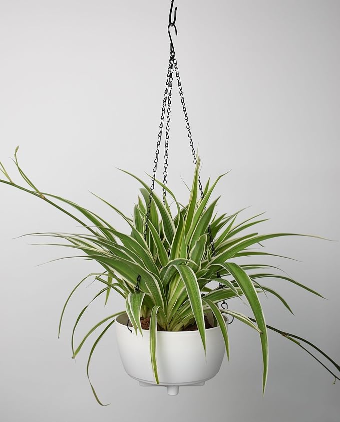 Hanging Basket Chain,22 Inch Black Hanging Chain,Chain for Hanging Plants with Hooks for Bird Feeder Hanging Planter Porch Wind Chime (Black, 22 Inch-5PCS)