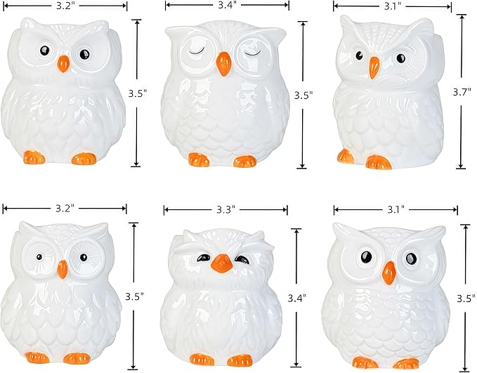 Cute Owl Ceramic Succulent Garden Pots, Planter with Drainage and Attached Saucer, Set of 6, Desk & Home Décor -Plants Not Included
