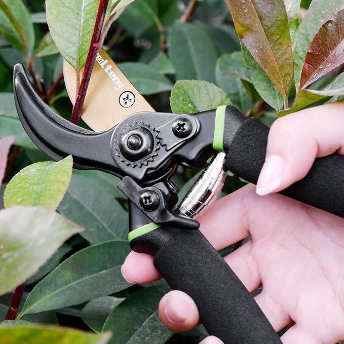 Premium Titanium Bypass Pruning Shears, Heavy Duty Ultra Sharp Garden Scissors, Professional Hand Pruners, Tree Trimmers, Hedge Clippers, Garden Shears and Rose Clippers Tools for Gardening