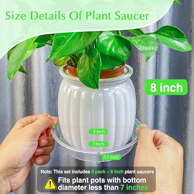 6 Pack Clear Plant Saucer, Durable Plant Drip Trays Saucers for Pots, No Holes Water Catcher Trays for Indoor Outdoor Planter, Sturdy Base Plate(8", Clear)