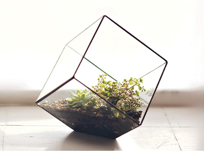 WGV Geometric Planter Terrarium, Width 11.5" Height 12" Clear Glass Black Frame DIY Succulent air Plant Miniature Fairy Garden Windowsill Tabletop Decor, Tilted Cube 1 Piece