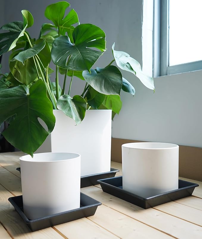 Square Plant Saucer 10 Inch 2 Pack 6 8 10 12 14 16 18 20 Inch, Plant Trays for Pots Heavy Duty Plastic Plant Saucers for Indoors Outdoors, Flower Pot No Holes Plant Drip Trays