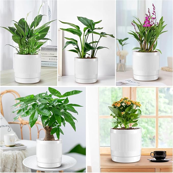 Vanavazon 6 Inch Glazed Ceramic Plant Pots Indoor with Drainage Hole and Saucer, Cylinder Indoor Planters for All House Plants, Modern Decor for Home & Office, Set of 2 (White)