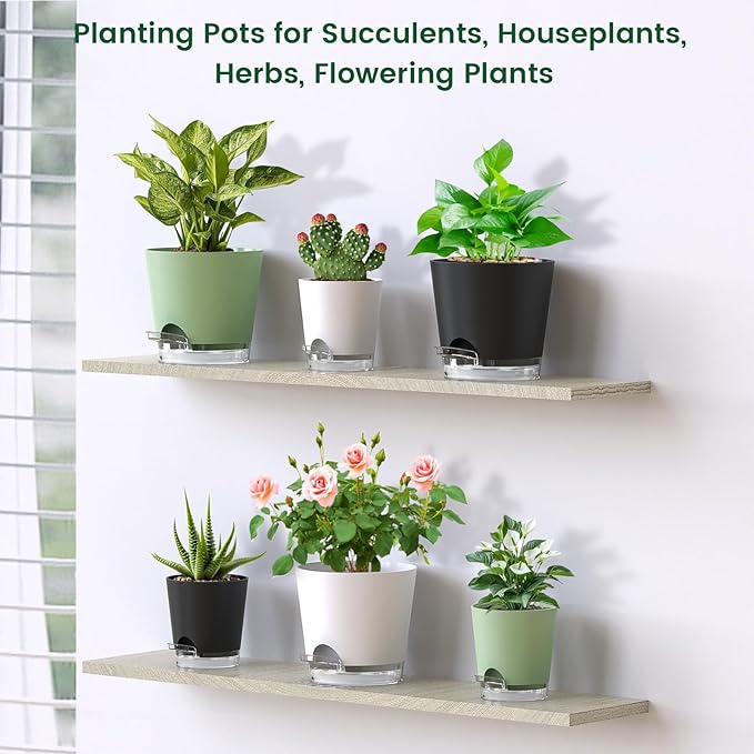 6 inch Self Watering Pots for Indoor Outdoor Plants, 3 Pack Flower Plant Pots with Drainage Holes and Clear Reservoirs, Visible Water Level, Plastic Planters with Wicking Rope, Green