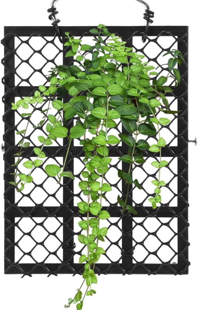 VANZACK Wall Mounted Fern Planting Board Rustic Indoor Hanging Planter for Vertical Garden Home Wall Decor Outdoor Plant Holder