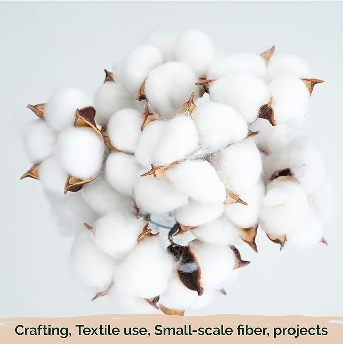 KVITER 25 White Cotton Seeds for Planting (Gossypium hirsutum) – Real Cotton Plant, Cottons Seeds for Growing, Heirloom & Non-GMO Cotton's Plant Seeds for Gardeners – Perfect for Ornamental or Fiber