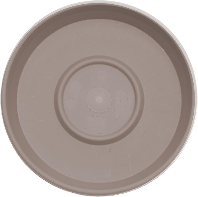Bloem Terra Resin Saucer Tray: 6.5" Bottom Width - Pebble Stone Beige - Matte, Durable, Ribbed Bottom, Indoor and Outdoor, Fits 8" Terra Pots