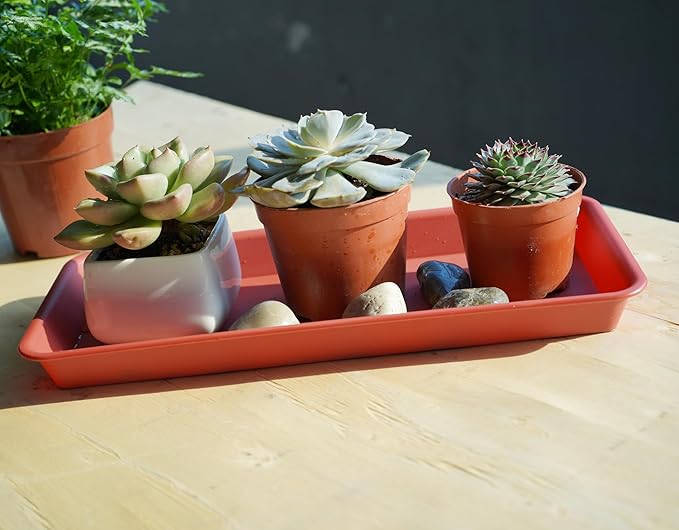 6 Pack of Plastic Plant Tray Saucer Rectangular, Plant Trays Saucers for Indoors Outdoor, Plant Water Drip Tray for Flower Pot Planter, Windowsill Plant Tray (6.5 X 13 Inch, Terracotta)