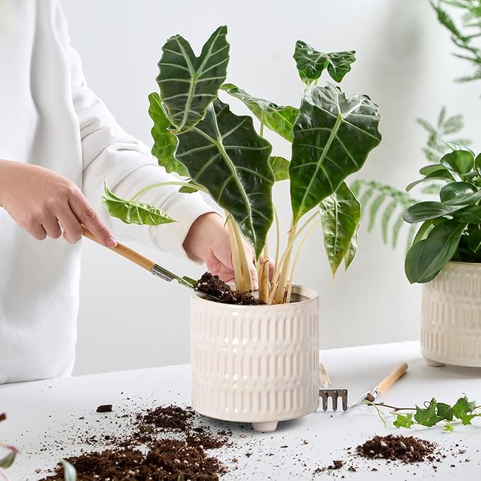 5 Inch Ceramic Planters for Indoor Plants, White Cactus Snake Plant Pots with Drainage, Unique Design Round Flower Pot for Home Decoration