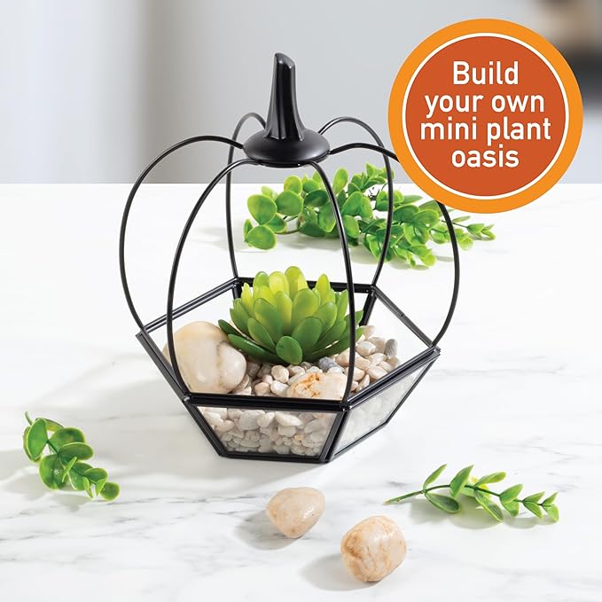 Thanksgiving Table Centerpiece - Pumpkin Glass Terrarium (7x7x8)- Rustic Fall Tabletop Decor - Artificial Pumpkin for Home, Kitchen, Office Decorations- Autumn Plant Garden Display- Black Trim Planter