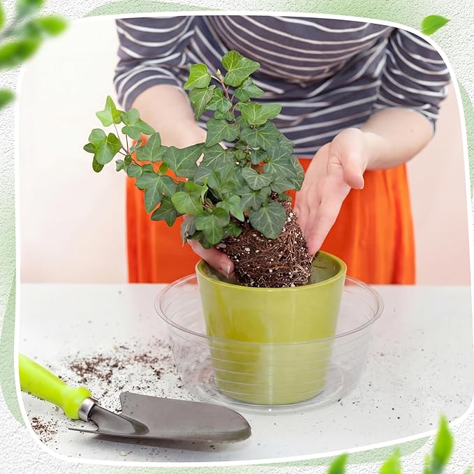 Hoolerry 15 Pcs Plastic Plant Saucer Clear Deep Drip Tray Thickened Clear Plant Saucers Trays for Pots Deep Drip Trays for Home Garden Indoor and Outdoor Potted (10,12,14 Inch)