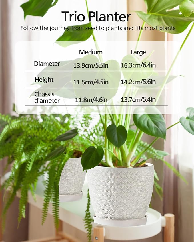 Plant Pots, Flower Pots, Planters for Indoor Plants(6.5+5.5inch), Flower Pots for Indoor Plants with Drainage Hole and Saucer, Ceramic Pots for Plant with Hole Mesh Pad,White