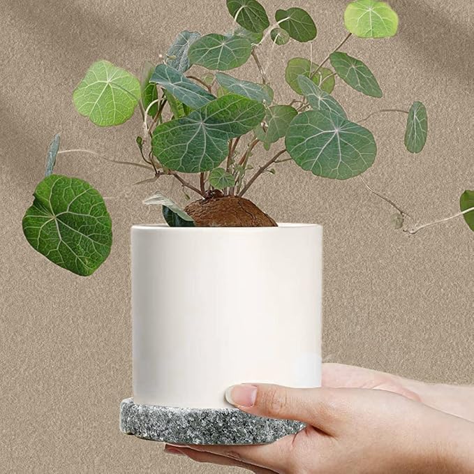 Round 4 Inch Ceramic Plant Saucer Round Tray Set of 2 for Indoor Small Flower Pots Home Garden Outdoor Flower Plant Pot,Marble Saucers