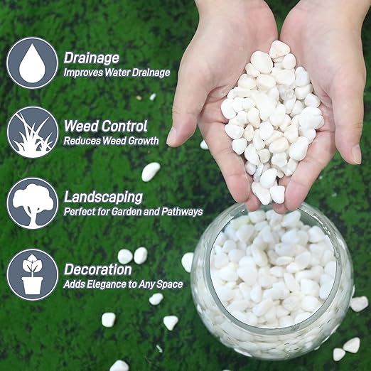 12Lb White Rocks for Plants, 1/4"-3/4" White Pebbles, Decorative Stones for Vases, Small Aquarium Gravel for Fish Tank Garden Rocks for Potted Plants & Home Decor