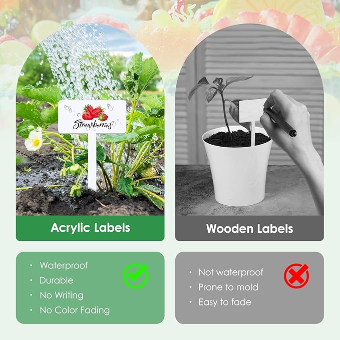 30 Pcs Acrylic Fruit Plant Labels for Outdoor Garden Waterproof Garden Markers for Plants, Fruit Seeds Name Tags for Planting 15 Styles T-Type Reusable Plant Labels for Nursery Decoration