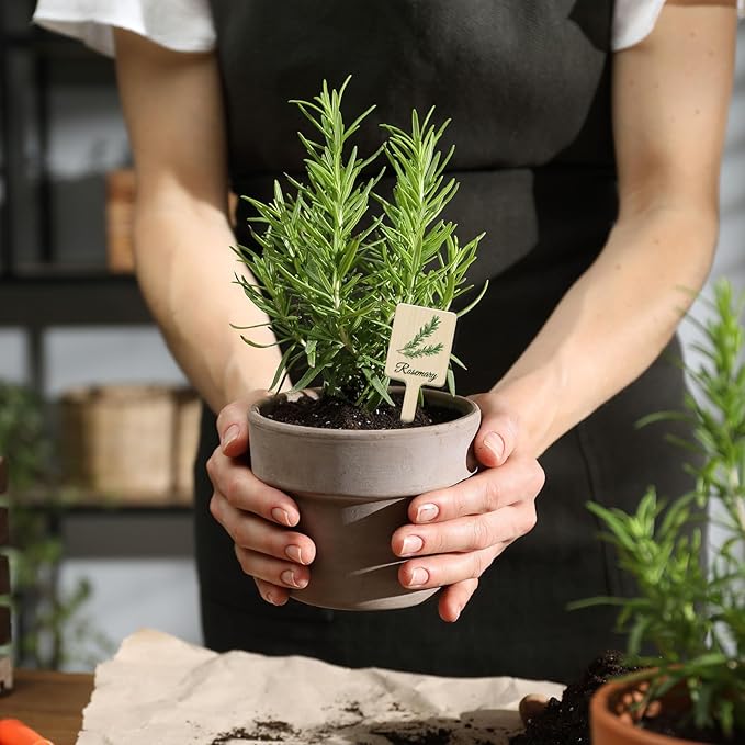 UPINS 24Pcs Acrylic Plant Labels Herb Plant Markers Plant Tags Signs with Printed Name for Indoor Outdoor Gardens Herbs Seedlings Plants