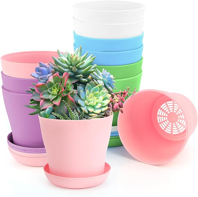 OALCQ 4 inch Plant Pots - 10 Pcs Small Flower Pots for Indoor Succulents & Herbs - Cute Plastic Pots in 5 Colors