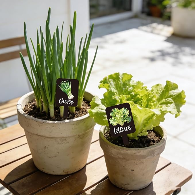 Whaline 20Pcs Watercolor Vegetable Plant Label Signs 20 Styles Garden Markers Waterproof Black Acrylic Plant Stake Tags with Names for Nursery Indoor Outdoor Garden Decor