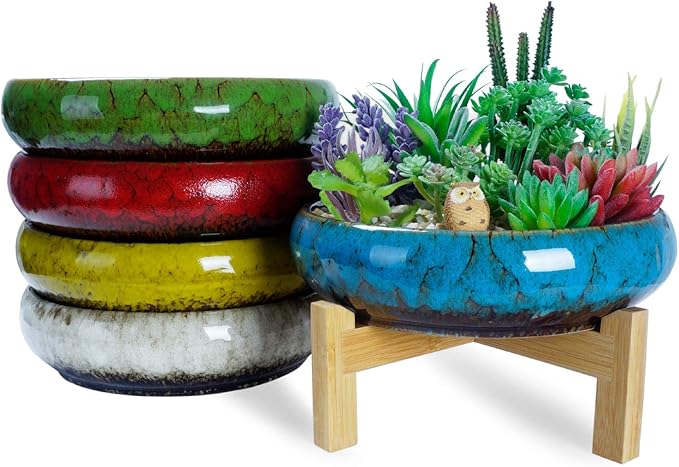 Succulent Pots - Large Succulent Planters Pots with Drainage, 10 Inch Ceramic Bonsai Pot with Stand Round Shallow Planter for Indoor/Outdoor Plants Decorative Garden Cactus Flower Container Bowl