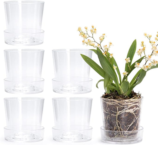 Phoenix Vine 3.5 Inch Clear Acrylic Planter Pot with Tray, Orchid Pot with Drainage Holes, Deep Saucer for Bottom Watering, Transparent Containers for Indoor Plants, Herbs, Set of 6, 91-A-D-6