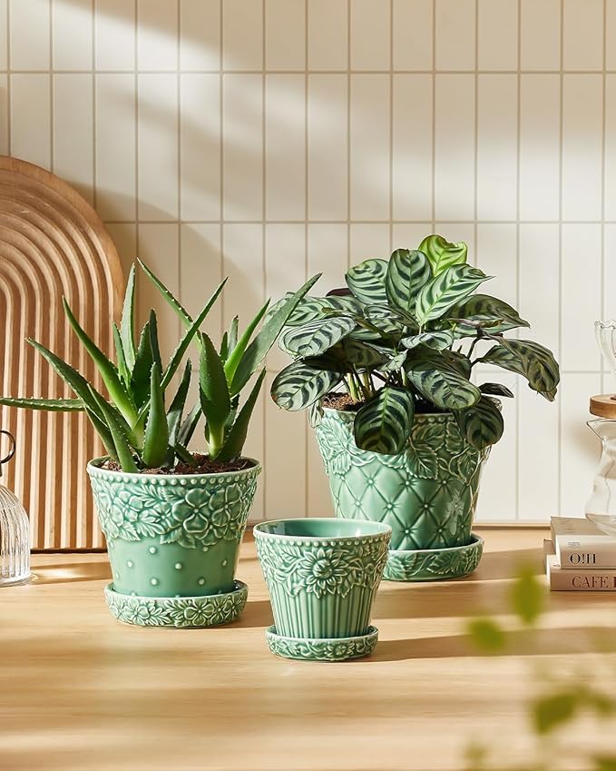 Succulent Ceramic Pots, 3.8 Inch Small Plant Pots with Drainage Hole & Saucer, Flower Planter Pot for Indoor Plants Cacti, Home Decor, Set of 4, Green