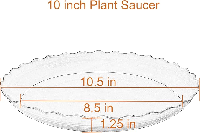 2 Pack of 10 inch Plant Saucer Plant Tray, Plastic Plant Saucer, Heavy Duty Plant Tray for Pots, Plant Saucers for Indoors Planter, Garden Water Plate Bowls for Gallon Grow Bags (Black)