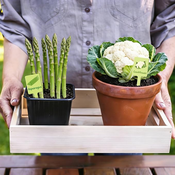 UPINS 24Pcs Acrylic Vegetable Labels Signs for Outside Garden Waterproof Plant Labels Markers Tags Signs with Printed Name for Indoor Outdoor Gardens Plants Potted