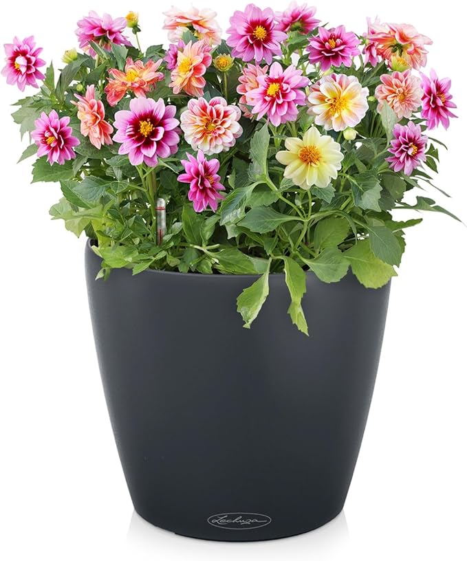 Lechuza Classico Color 21 Slate, Self-Watering Small Round Planter, D8.3 H7.9 in