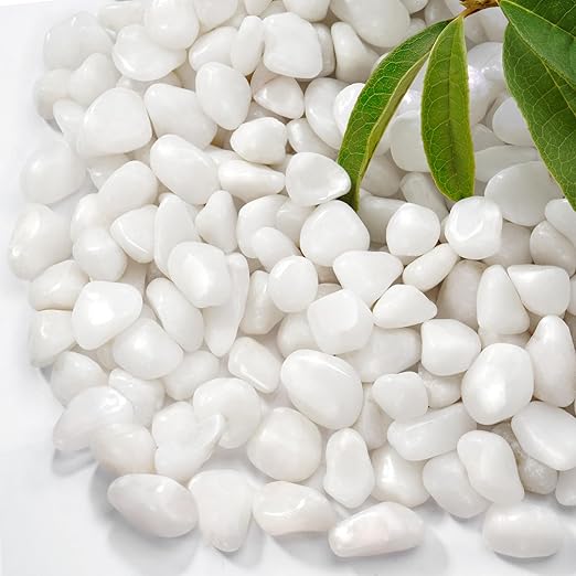 2.2 lb Natural Polished White Pebbles, 1/2 Inch Decorative White Rocks for Potted Plants Pot Filling Aquariums Outdoor Street Scape Decorative Rocks