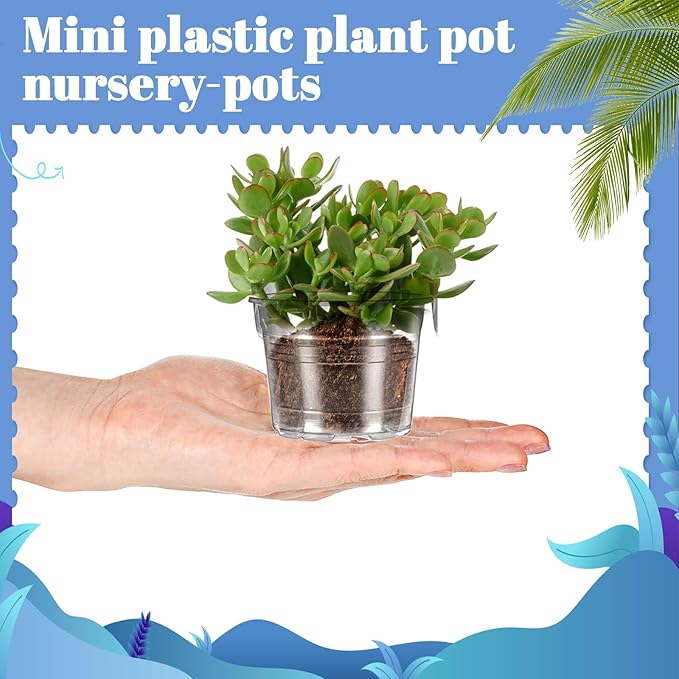 200 Pcs Clear Mini Plastic Plant Pot Nursery Seedling Pots Seed Starter with Drainage Holes for Indoor Outdoor Garden Succulent Plants Cuttings Transplanting