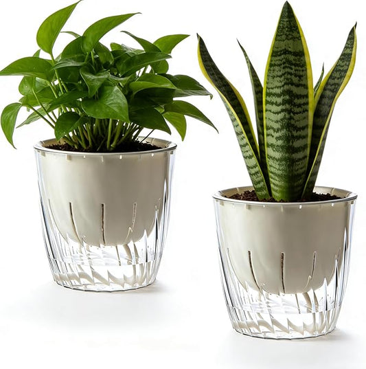 2 Pack 6 Inch Self Watering Pots for Indoor Plants, Self Watering Planter with Reservoir and Wick Rope, Clear Flower Plant Pots for African Violets,Succulents,Herbs,Cactus,Orchids