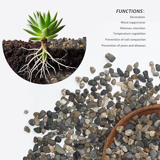 2lbs Fish Tank Rocks, 1/5 Inch Pea Gravel for Fish Tank, Decorative River Rocks for Aquarium Succulent Cactus Plant Vase Fillers Soil Cover and Outdoor Landscaping Stones