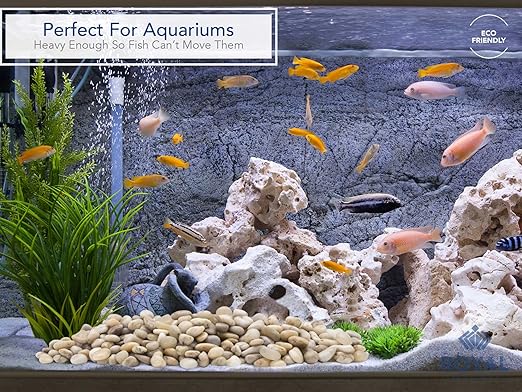 Royal Imports 5LB Decorative Stones River Pebbles Painting Rocks for Fish Aquariums, Plant Gravel, Landscaping, Home Decor Natural - Small Marble